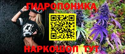 mdpv Брянск