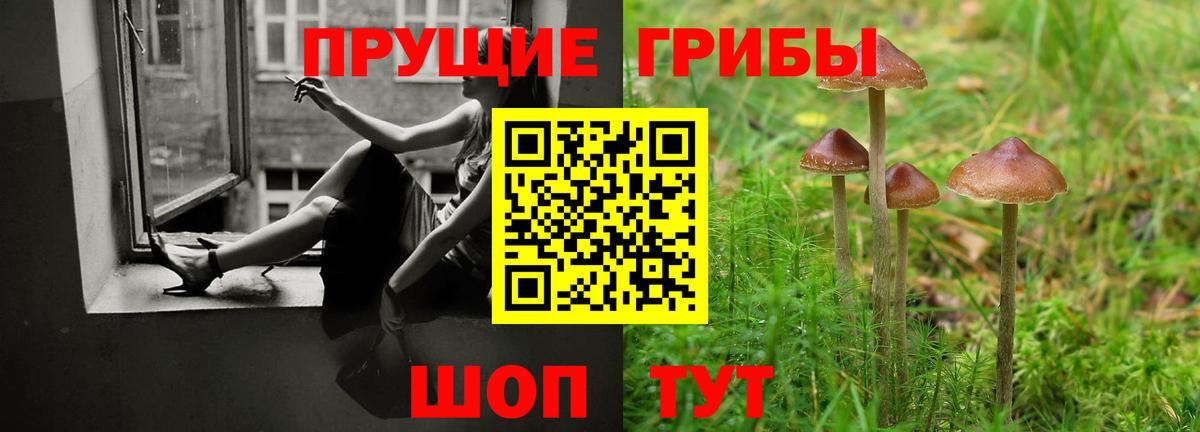 Галлюциногенные грибы Magic Shrooms  Вход с VPN  Ахтубинск 